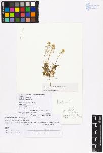 SW_BNB_s3070-03931_IMG-0000000001