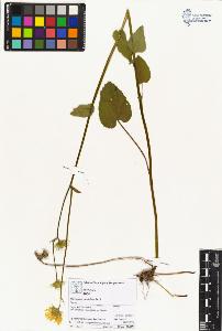 SW_BNB_s3070-03933_IMG-0000000001