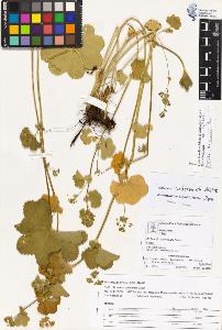 SW_BNB_s3070-03935_IMG-0000000001