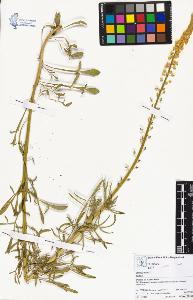 SW_BNB_s3070-03937_IMG-0000000001
