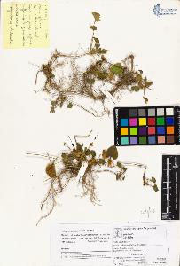 SW_BNB_s3070-03938_IMG-0000000001