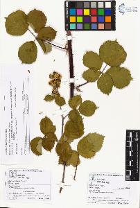 SW_BNB_s3070-03940_IMG-0000000001