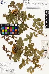 SW_BNB_s3070-03942_IMG-0000000001