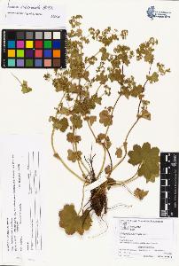 SW_BNB_s3070-03957_IMG-0000000001