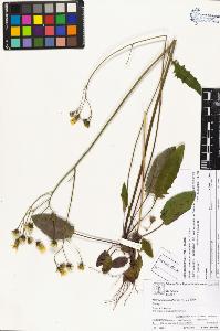 SW_BNB_s3070-03960_IMG-0000000001