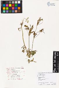 SW_BNB_s3070-03966_IMG-0000000001