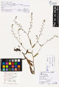SW_BNB_s3070-03967_IMG-0000000001