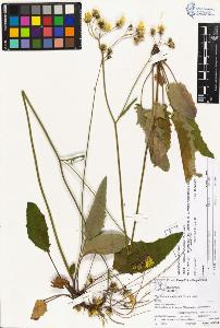 SW_BNB_s3070-03972_IMG-0000000001