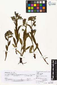 SW_BNB_s3070-03974_IMG-0000000001