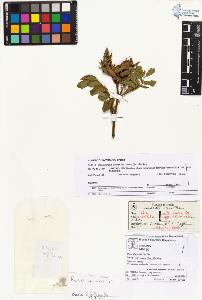 SW_BNB_s3070-03984_IMG-0000000001