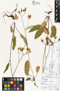 SW_BNB_s3070-03985_IMG-0000000001