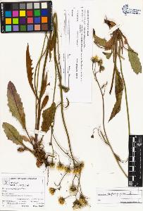 SW_BNB_s3070-03989_IMG-0000000001