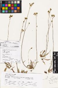 SW_BNB_s3070-03990_IMG-0000000001