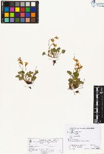 SW_BNB_s3070-03991_IMG-0000000001