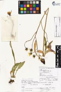 SW_BNB_s3070-03993_IMG-0000000001