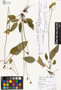 SW_BNB_s3070-03996_IMG-0000000001