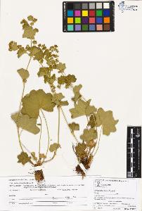 SW_BNB_s3070-04009_IMG-0000000001