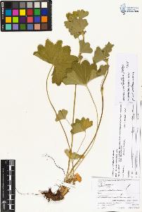 SW_BNB_s3070-04010_IMG-0000000001