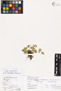 SW_BNB_s3070-04011_IMG-0000000001