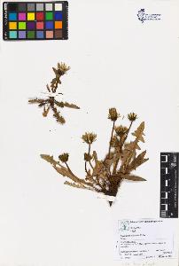SW_BNB_s3070-04013_IMG-0000000001