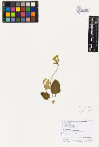 SW_BNB_s3070-04019_IMG-0000000001
