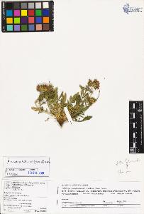 SW_BNB_s3070-04021_IMG-0000000001