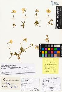 SW_BNB_s3070-04022_IMG-0000000001