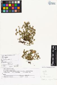 SW_BNB_s3070-04023_IMG-0000000001