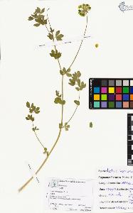 SW_BNB_s3070-04026_IMG-0000000001