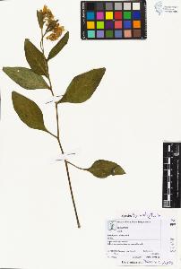SW_BNB_s3070-04027_IMG-0000000001