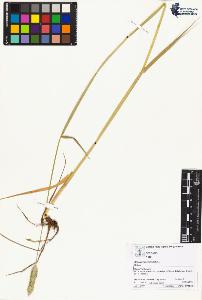 SW_BNB_s3070-04032_IMG-0000000001