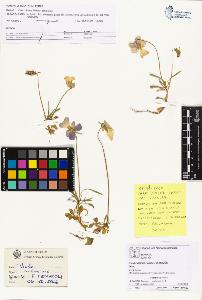 SW_BNB_s3070-04033_IMG-0000000001