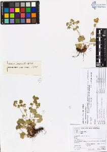 SW_BNB_s3070-04034_IMG-0000000001