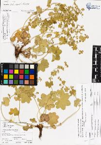 SW_BNB_s3070-04035_IMG-0000000001
