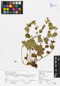 SW_BNB_s3070-04036_IMG-0000000001