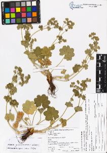 SW_BNB_s3070-04041_IMG-0000000001