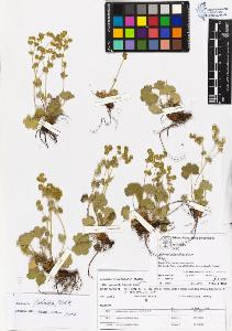 SW_BNB_s3070-04045_IMG-0000000001