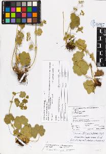 SW_BNB_s3070-04046_IMG-0000000001