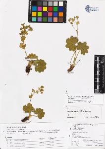 SW_BNB_s3070-04047_IMG-0000000001