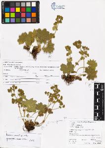 SW_BNB_s3070-04048_IMG-0000000001