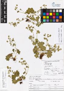 SW_BNB_s3070-04049_IMG-0000000001