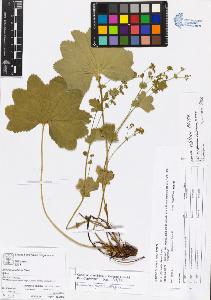 SW_BNB_s3070-04050_IMG-0000000001
