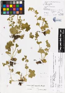 SW_BNB_s3070-04052_IMG-0000000001