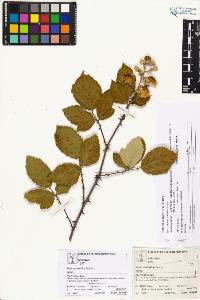 SW_BNB_s3070-04053_IMG-0000000001
