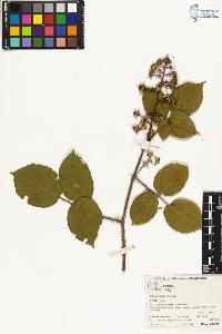 SW_BNB_s3070-04057_IMG-0000000001