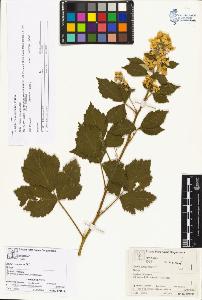 SW_BNB_s3070-04058_IMG-0000000001