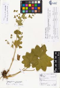 SW_BNB_s3070-04066_IMG-0000000001