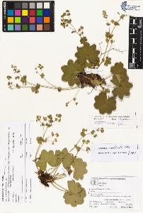 SW_BNB_s3070-04070_IMG-0000000001