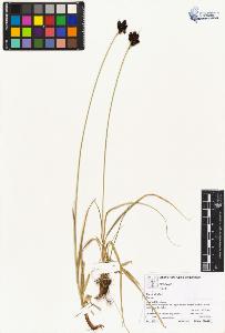 SW_BNB_s3070-04078_IMG-0000000001