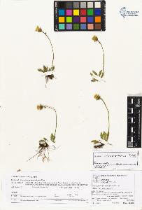 SW_BNB_s3070-04079_IMG-0000000001